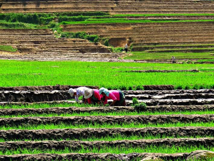 Sapa Trekking (Muon Hoa) 2 Days – 1 Night - Good To Know