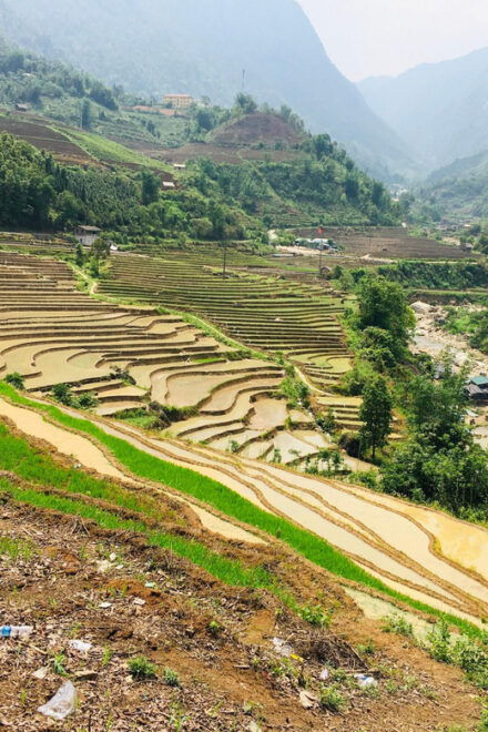 Sapa Trekking (Muon Hoa) 2 Days – 1 Night - Day 2 Itinerary