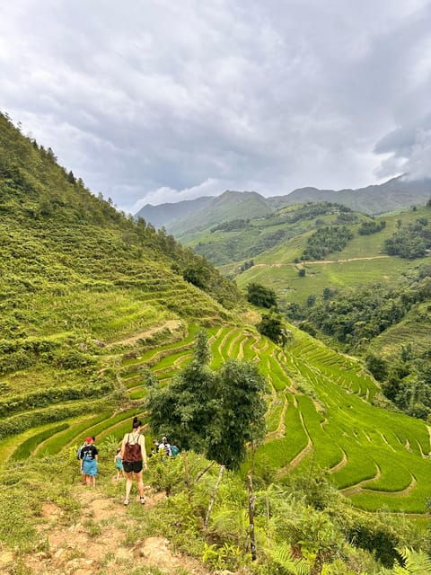 SAPA TREKKING, RICE FIELDS, LOCAL VILLAGES, BAMBOO FOREST - Trekking Itinerary