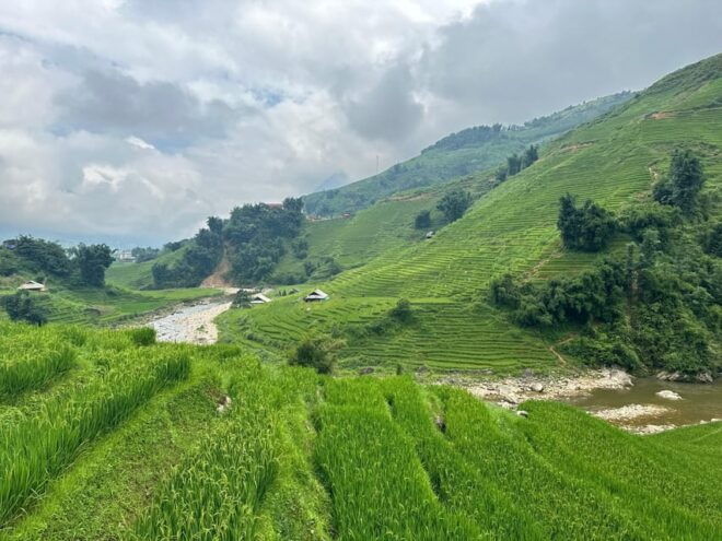 SAPA TREKKING, RICE FIELDS, LOCAL VILLAGES, BAMBOO FOREST - Local Villages Experience