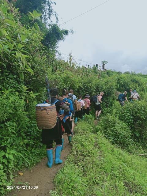 SAPA TREKKING, RICE FIELDS, LOCAL VILLAGES, BAMBOO FOREST - Bamboo Forest Exploration