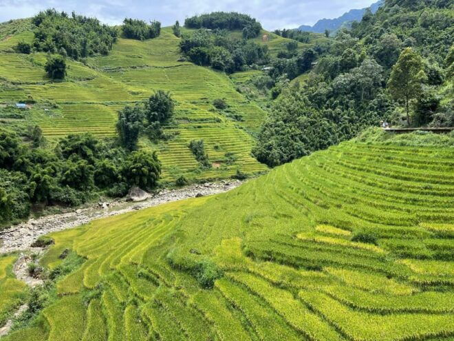 Sapa: Trekking Sapa One Day With Group Tour - Participant Information
