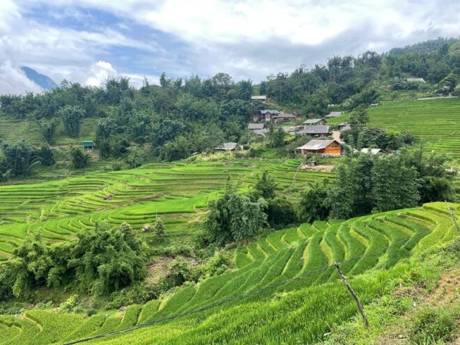 Sapa: Trekking Through Terraced Rice Fields & Valley 1 Day - Cultural Experiences