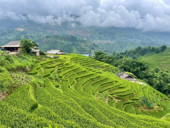 Sapa: Trekking Through Terraced Rice Fields & Valley 1 Day - Inclusions and Exclusions