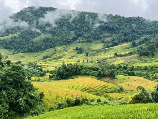 Sapa: Trekking Through Terraced Rice Fields & Valley 1 Day - Preparation Tips