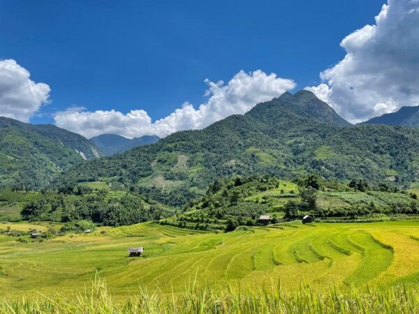 Sapa: Trekking Through Terraced Rice Fields & Valley 1 Day - Booking Information