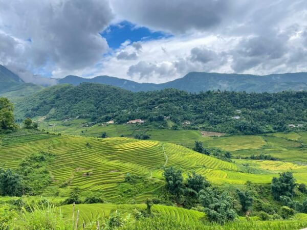Sapa: Trekking Through Terraced Rice Fields & Valley 1 Day - Frequently Asked Questions