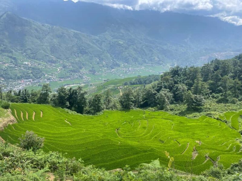 Sapa: Trekking Through Y Linh Ho - Lao Chai & Ta Van Village - An In-Depth Look at the Trekking Experience in Sapa