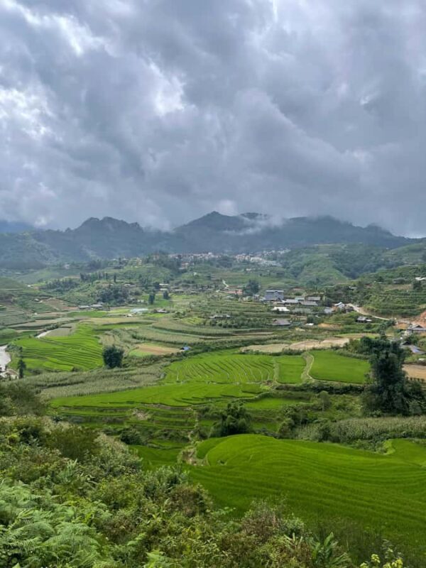 Sapa: Trekking Through Y Linh Ho - Lao Chai & Ta Van Village - Final Thoughts: Who Is This Tour Best For?