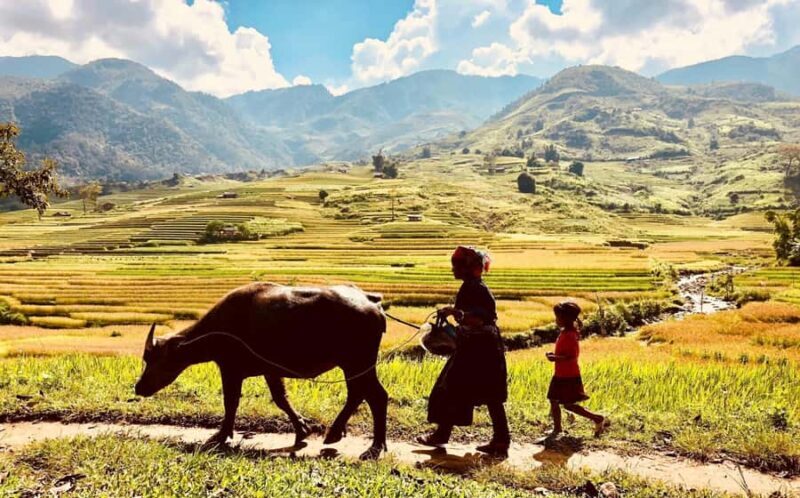 Sapa: Trekking to Y Linh Ho, Lao Chai & Ta Van Villages - Introduction
