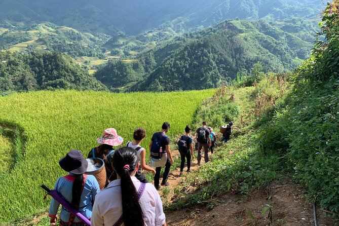 Sapa Trekking Tour 2 Days 1 Night By Bus - Itinerary Highlights
