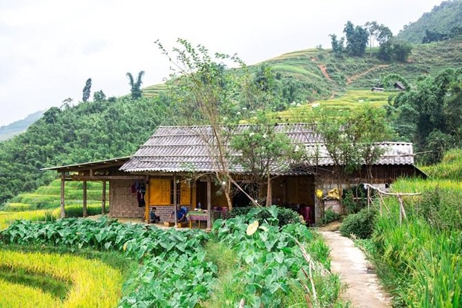 Sapa Trekking Tour 2 Days 1 Night- Stay Homestay (By Bus) - Tour Itinerary