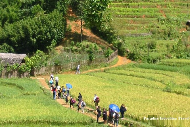 Sapa Trekking Tour From Hanoi; 2 Night on Train; 1 Night Home-Stay; Local Guide - Cancellation Policy
