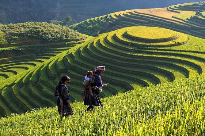 Sapa Trekking Tour From Hanoi; 2 Night on Train; 1 Night Home-Stay; Local Guide - Itinerary and Activities