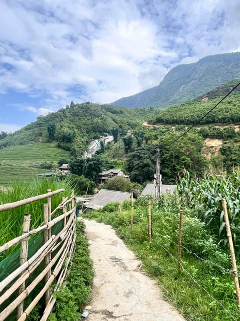 Sapa Trekking Tour Homestay Rice Fields and Bamboo Forest - Tour Overview