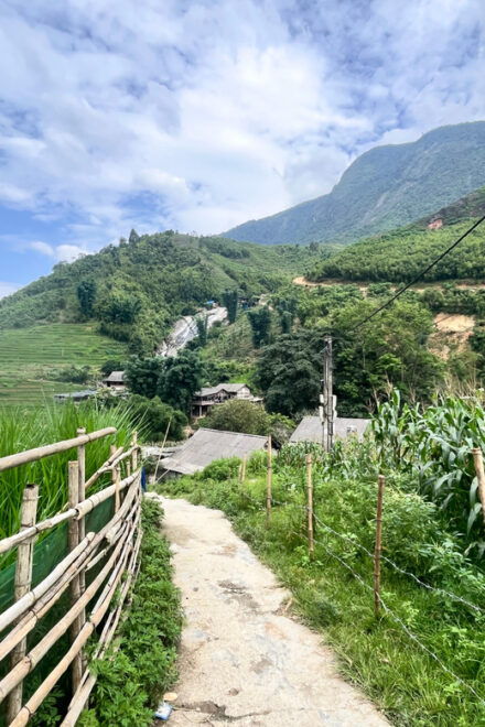 Sapa Trekking Tour Homestay Rice Fields and Bamboo Forest - Important Information