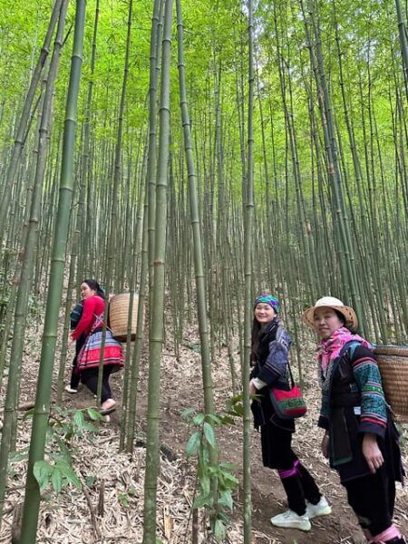Sapa Trekking Tour Homestay Rice Fields and Bamboo Forest - Booking Information