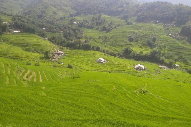Sapa Trekking Tour to Y Linh Ho & Lao Chai with Local Guide - FAQ