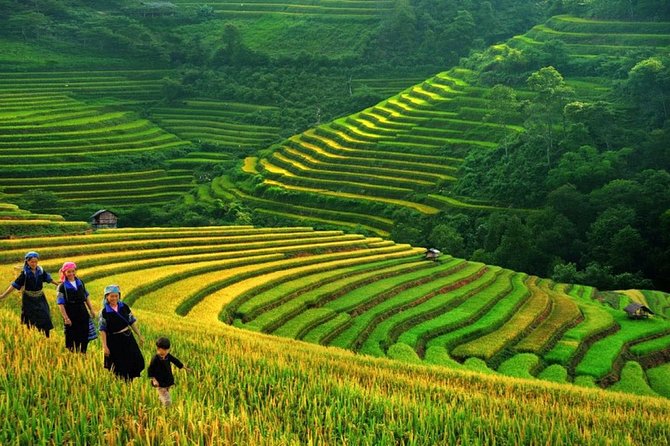 Sapa Trekking Tour With Local Full Package by Bus 4N3D - Transportation Details