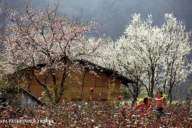 Sapa Trekking Tour With Local Full Package by Bus 4N3D - Booking and Reservation Process