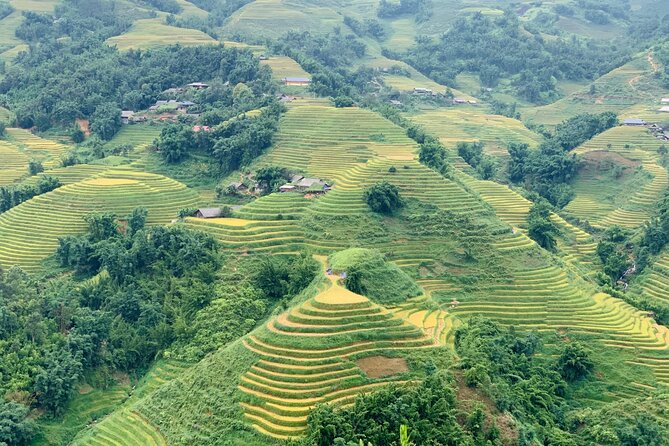 Sapa Trekking Trail 1 Day - Mountain & Terraced Rice Valley View - Highlights of the Trek