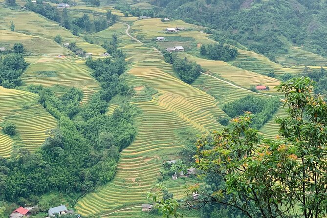 Sapa Trekking Trail 1 Day - Mountain & Terraced Rice Valley View - Tips for a Successful Trekking Experience