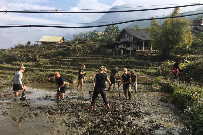 Sapa Trekking - Unique Route - 2D1N - Transportation and Logistics