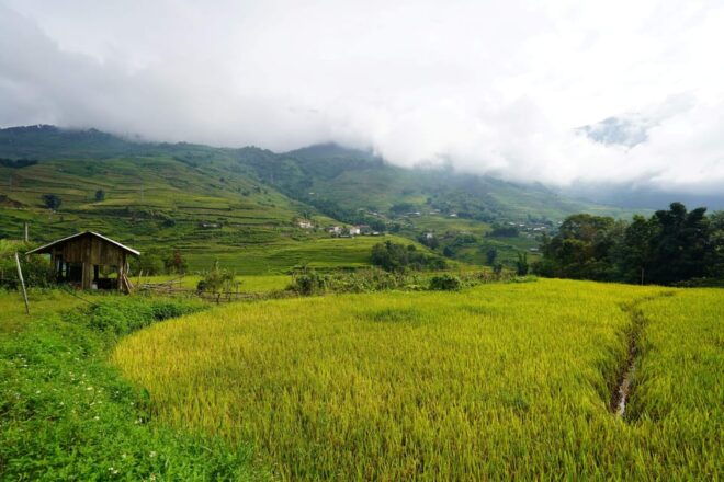 Sapa Trip to Y Linh Ho - Lao Chai - Ta Van - Cat Cat Village - Cultural Experiences