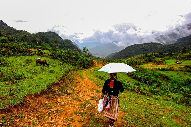 Sapa Valley Trek and Homestay - 3D2N - Discovering Authentic Vietnamese Cuisine