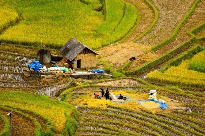Sapa Villages Trekking and Homestay 2 Days/ 1 Night Package Tour: Best Selling - Overview of the Tour