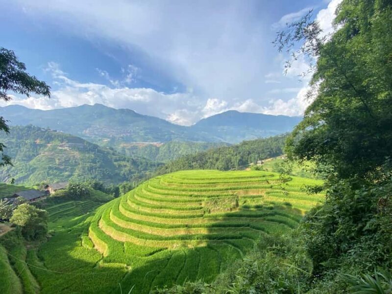 Sapa: Y Linh Ho, Lao Chai, and Ta Van Trekking Tour - Good To Know