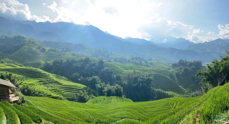 Sapa: Y Linh Ho, Lao Chai, and Ta Van Trekking Tour - An In-Depth Look at the Trekking Experience