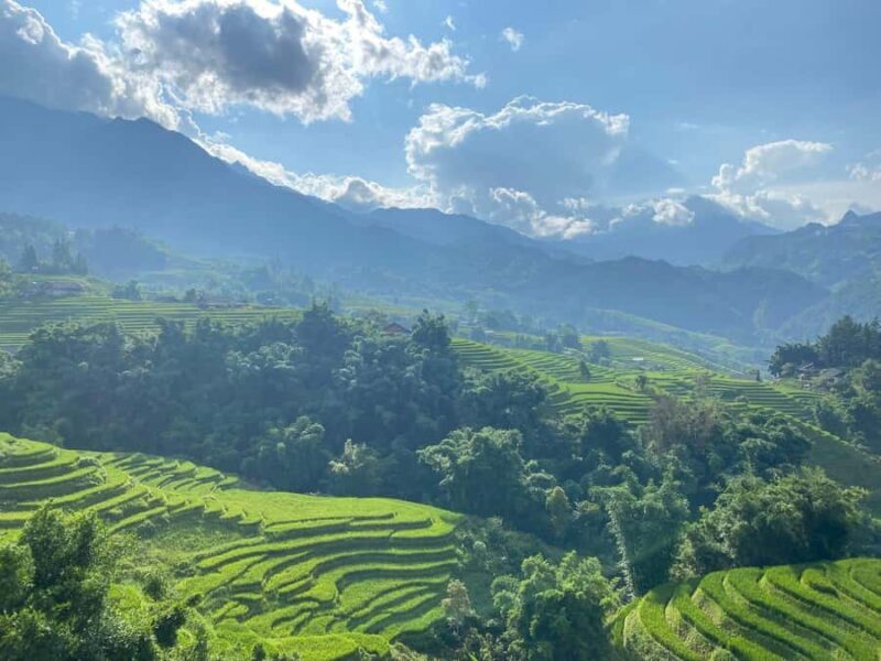 Sapa: Y Linh Ho, Lao Chai, and Ta Van Trekking Tour - An In-Depth Look at the Sapa Trekking Experience