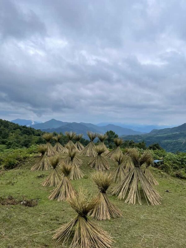 Sapa: Y Linh Ho - Lao Chai and Ta Van Villages Trek Day Tour - What Makes This Tour Stand Out?