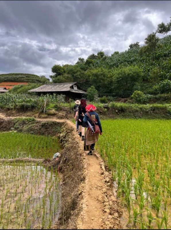 Sapa: Y Linh Ho - Lao Chai and Ta Van Villages Trek Day Tour - The Sum Up