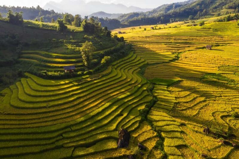 Sapa: Y Linh Ho, Muong Hoa Valley Trek & Village Experience - Good To Know