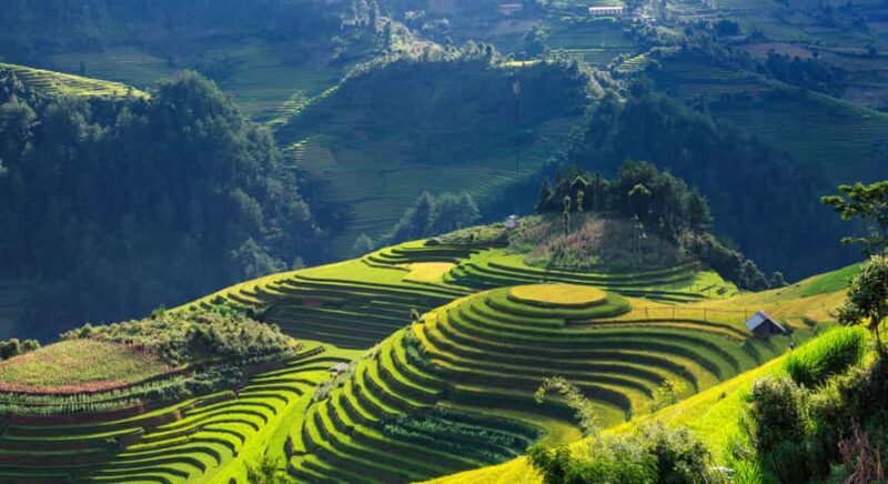 Sapa: Y Linh Ho, Muong Hoa Valley Trek & Village Experience - The Value of This Experience