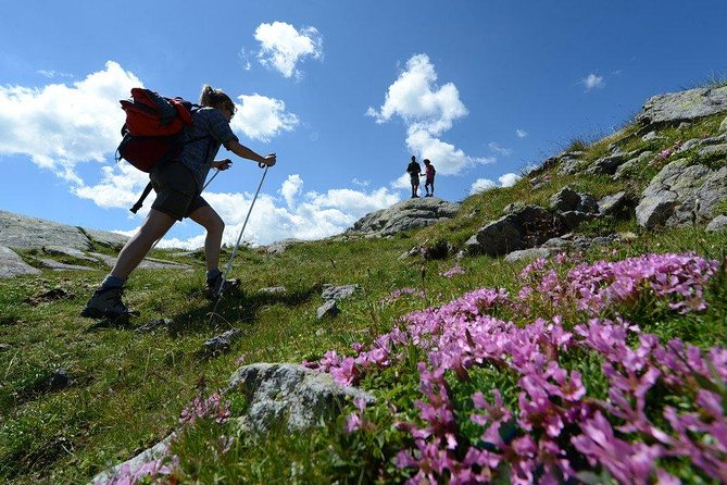Sapadere Canyon Hiking Tour From Alanya - Tour Details