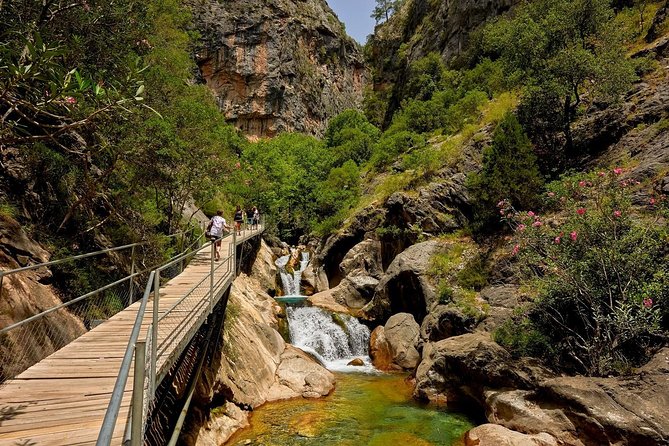 Sapadere Canyon Tour From Alanya - Enjoying a Delicious Lunch in Nature