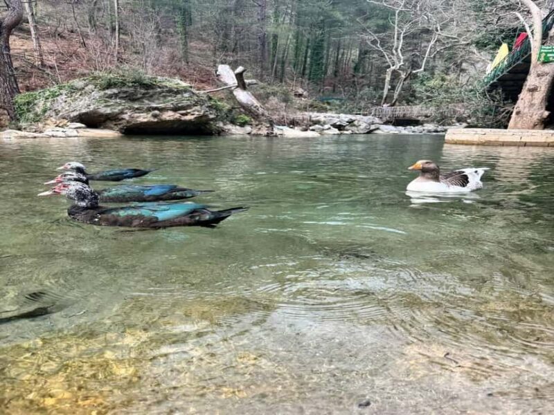 Sapadere Jeep Safari: Taurus Mountains, Waterfall & Cave - Good To Know