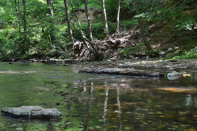 Sapanca and Masukiye Tour From Istanbul Lunch Included - Traveler Reviews and Ratings