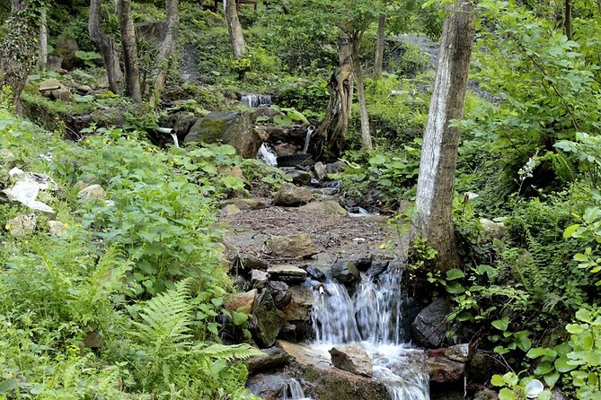 Sapanca and Masukiye Tour From Istanbul Lunch Included - Common Questions