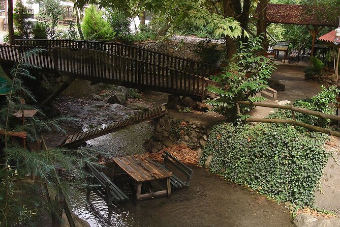 Sapanca and Masukiye Tour From Istanbul Lunch Included - Special Offer and Terms & Conditions