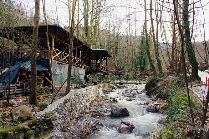 Sapanca And Masukiye Tour With Lunch - Full Day - Traveler Photos