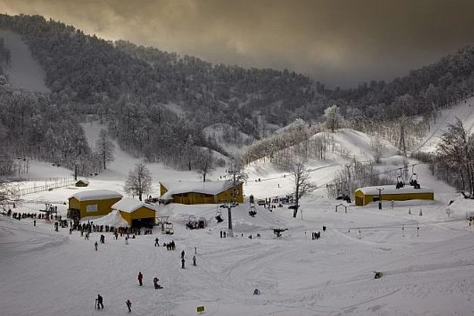 Sapanca and Zoo Private Tour From Istanbul - VIP Minivan - Best Quality - ATV Tour or Exploring on Foot