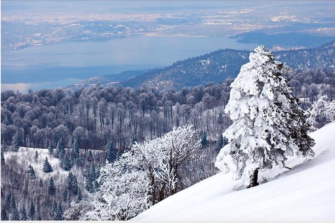 Sapanca and Zoo Private Tour From Istanbul - VIP Minivan - Best Quality - Inclusions
