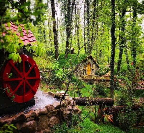 Sapanca Lake & Masukiye Tour From Istanbul - Tips for a Great Experience