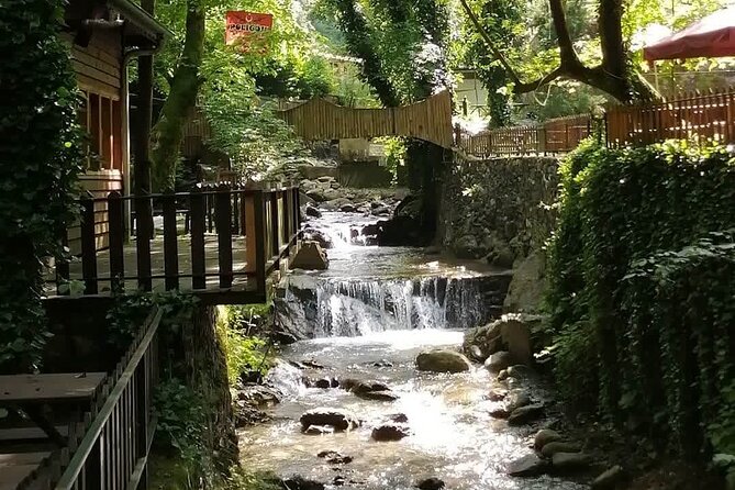 Sapanca Lake Tour With Lunch From Istanbul - Group Size and Expectations