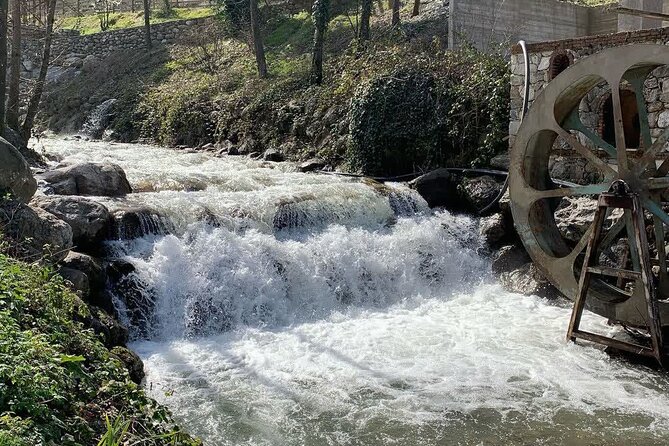 Sapanca Lake Tour With Lunch From Istanbul - The Sum Up