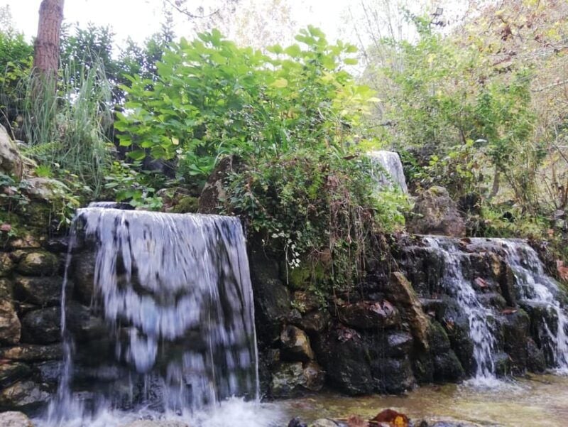 Sapanca & Masukiye Full-Day Tour with Lunch and Transfers - Possible drawbacks and considerations